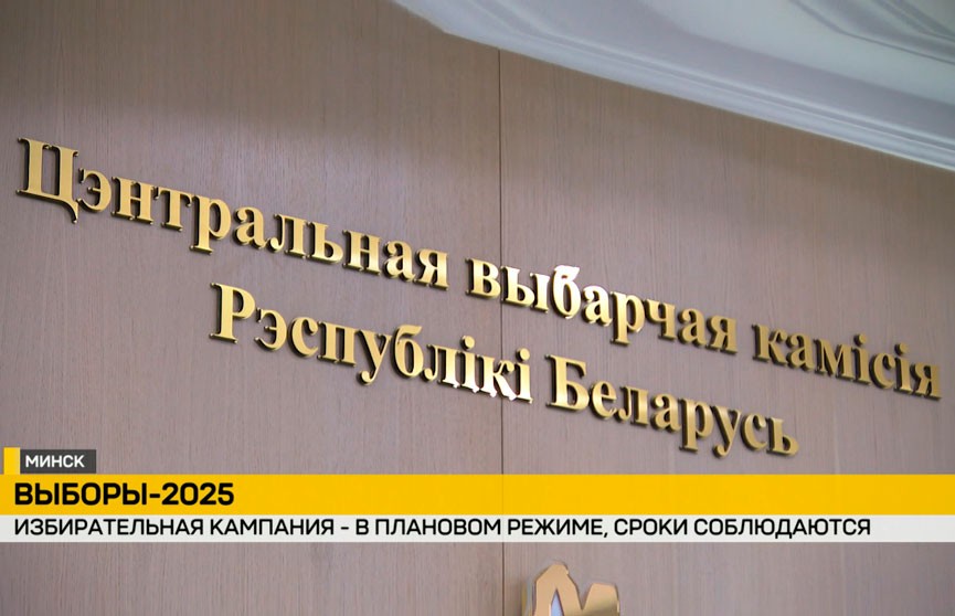 Опубликованы предвыборные программы кандидатов в Президенты Республики Беларусь